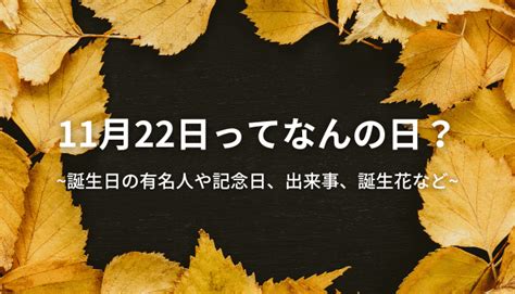 11月22日生日|11月22日